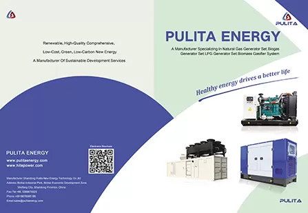 Brochure of Gas Generator Set