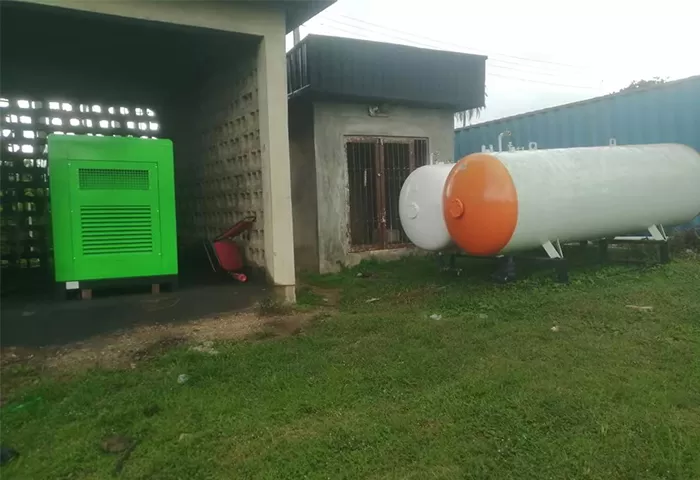 Nigeria 5 Units LPG Generator Set