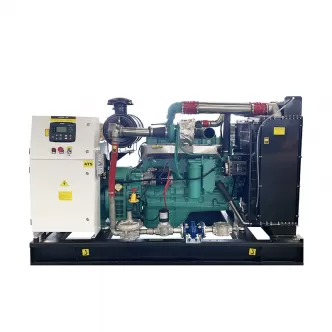 80kw 100kva Biogas Generator Set